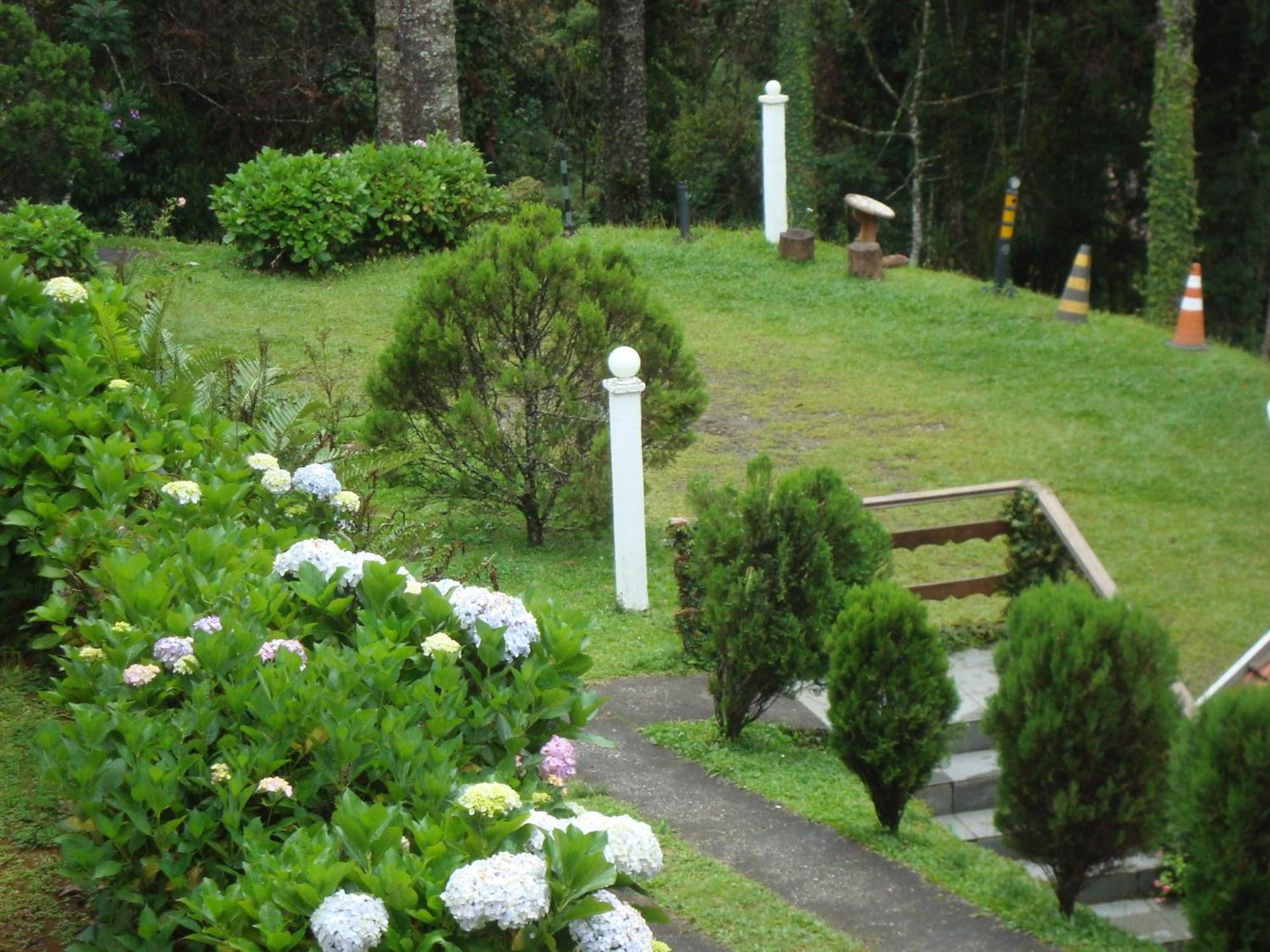 Suiço De Lodge *