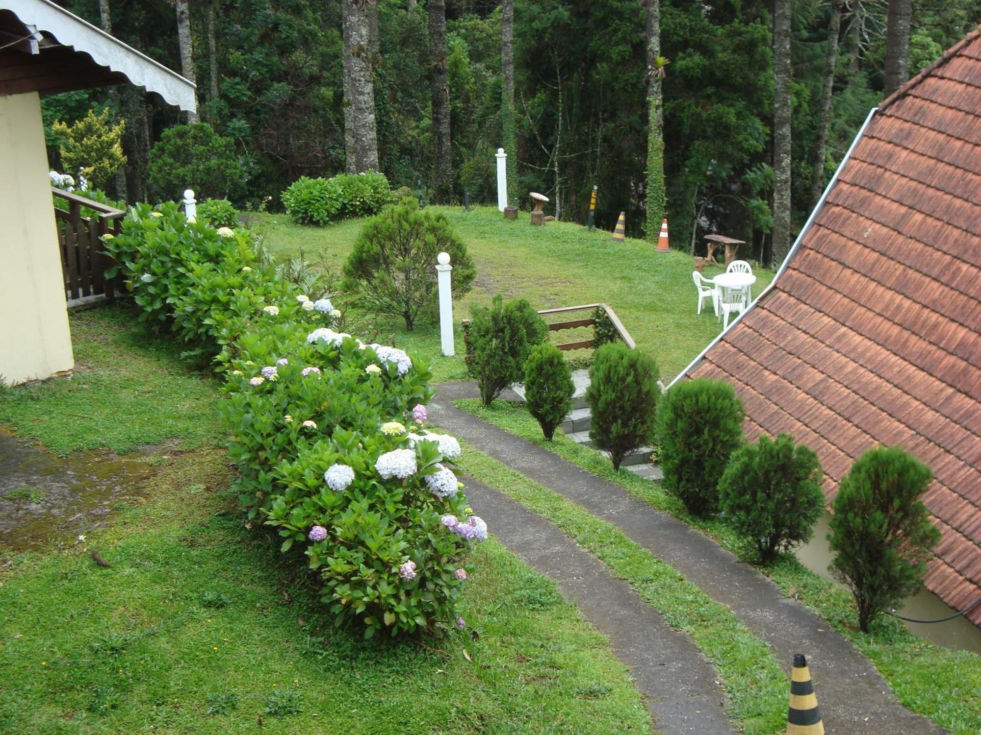 Suiço De