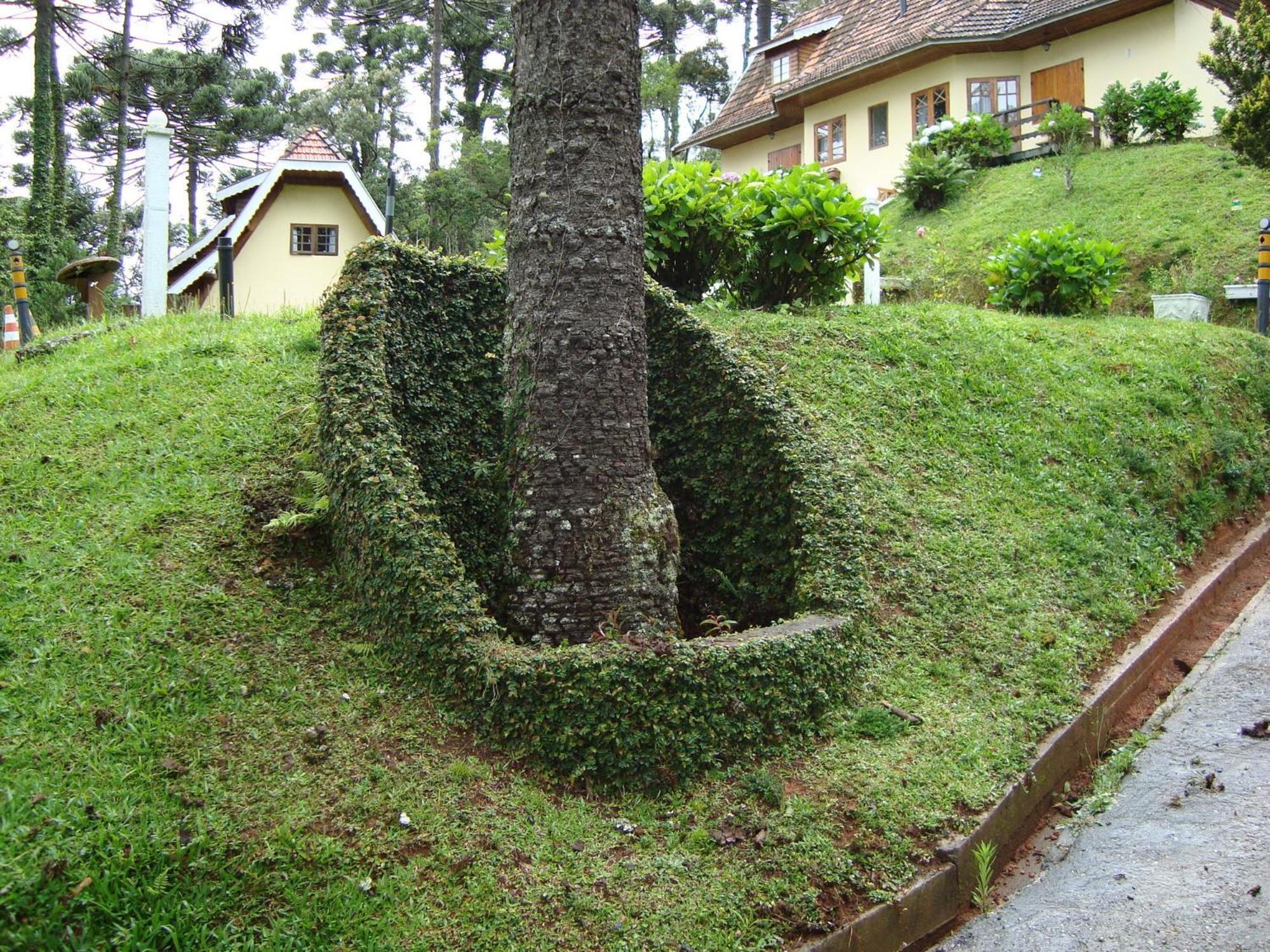 Lodge Suiço De Campos do Jordão